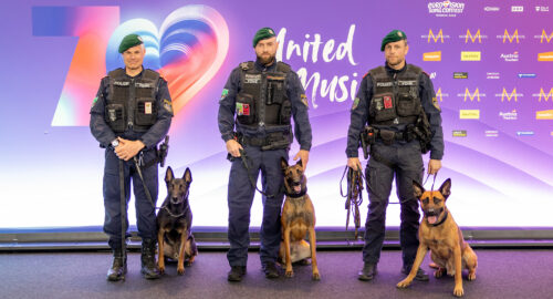 Fuerzas y cuerpos de seguridad en el Wiener Stadthalle de Viena durante el Festival de Eurovisión 2026 | Imagen: Christian Öser - ORF